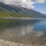 Nelson Lakes National Park, New Zealand