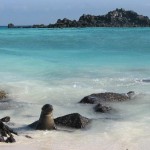 Galapagos Islands Travel