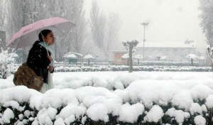 Srinagar Snowfall