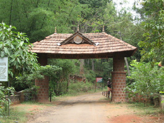 Silent Valley National Park  in Palakkad